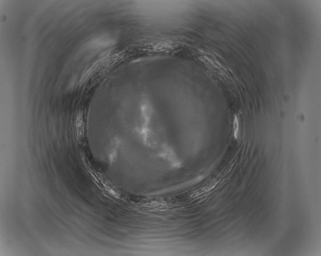 X0000087631395200705181448