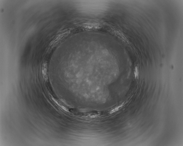 X0000087631396200705181449