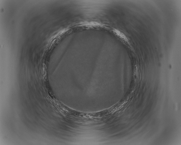 X0000087631398200705181449