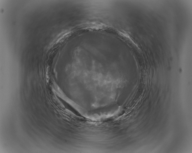 X0000087631399200705181449