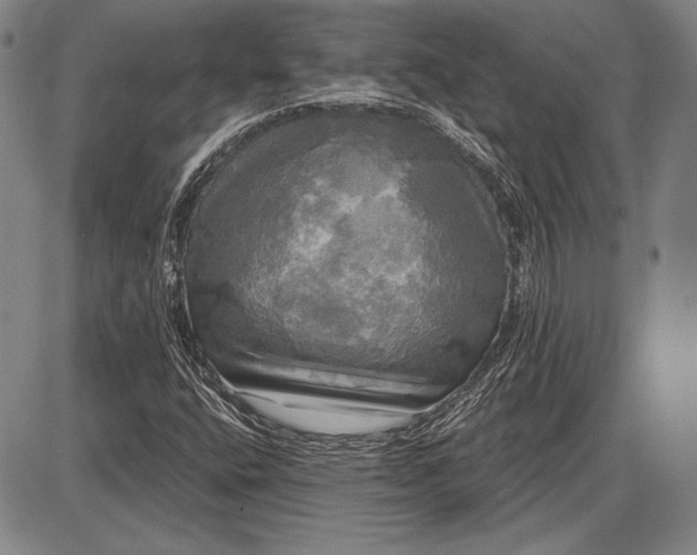 X0000087631400200705181449