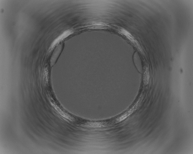 X0000087631402200705181449