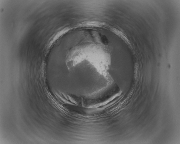 X0000087631404200705181449