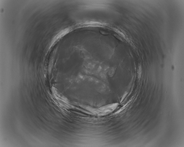 X0000087631405200705181449