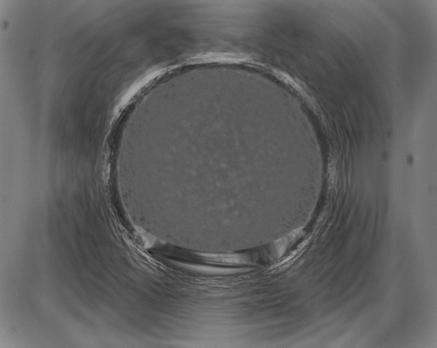 X0000087631406200705181449