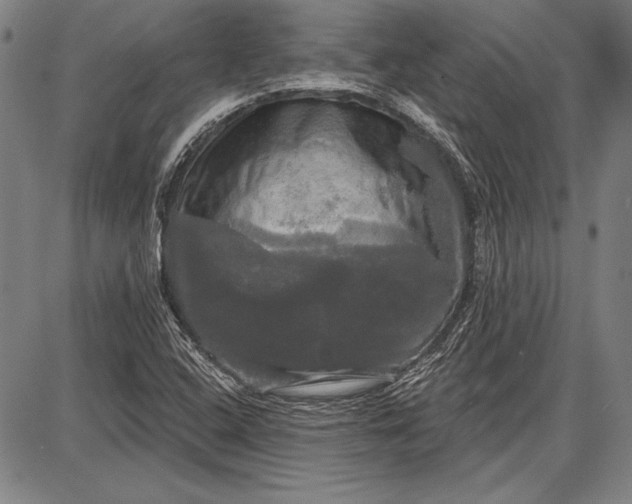 X0000087631408200705181449