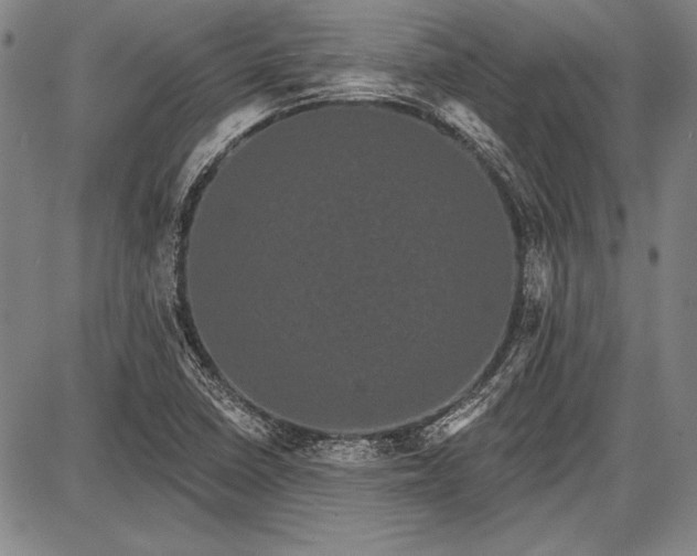 X0000087631410200705181449