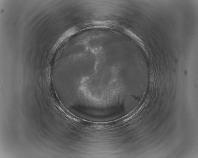 X0000087631411200705181449