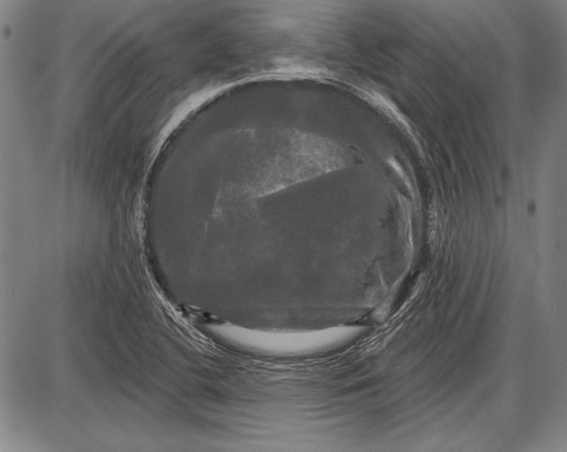 X0000087631412200705181449