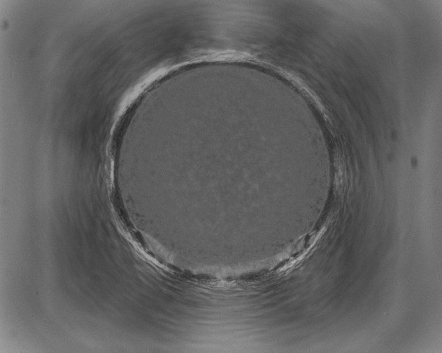 X0000087631414200705181449