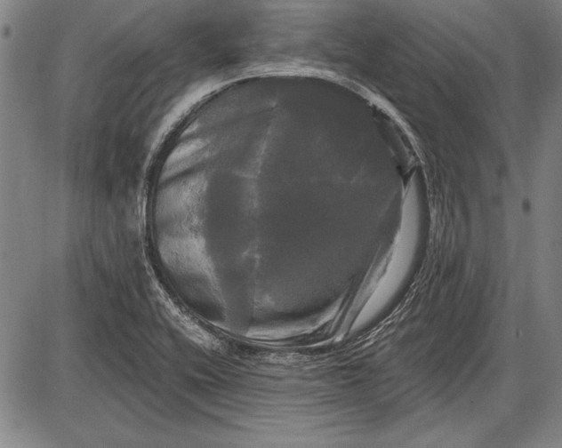 X0000087631416200705181449