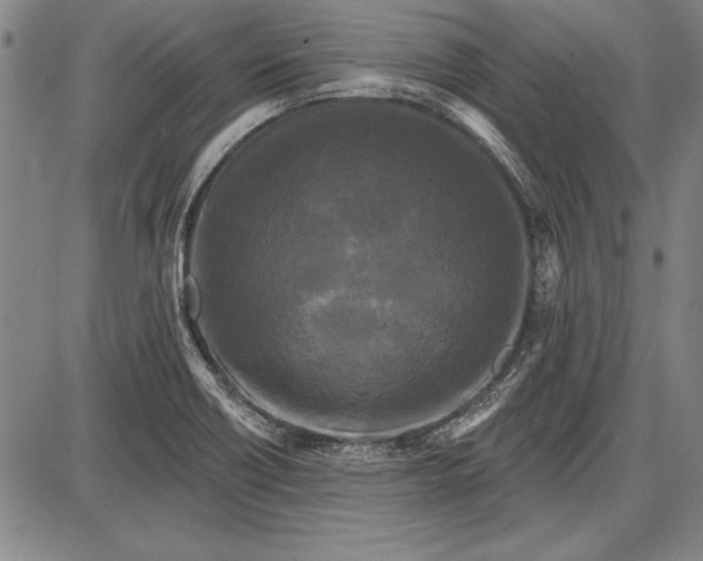 X0000087631418200705181449