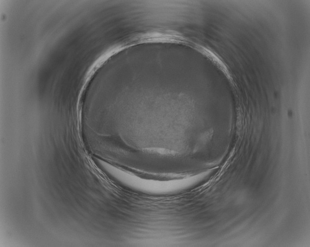 X0000087631419200705181449