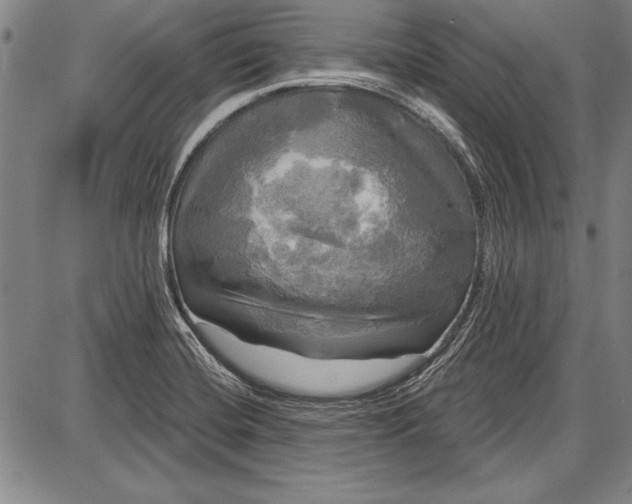 X0000087631420200705181449