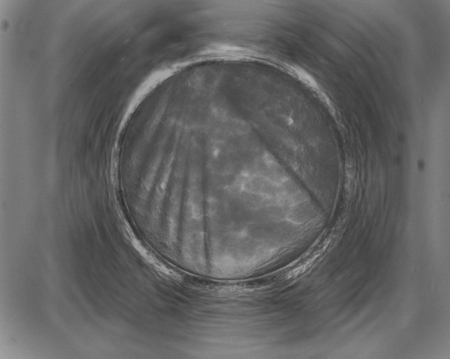 X0000087631421200705181449