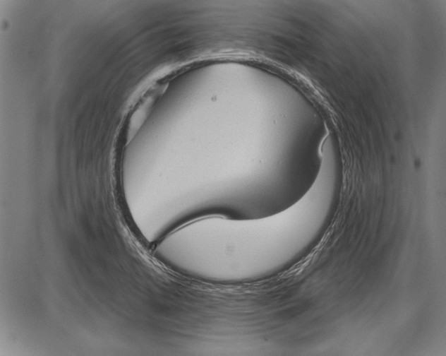 X0000087631422200705181449