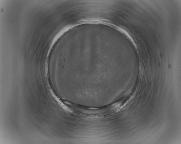 X0000087631424200705181449