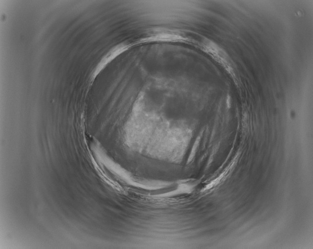 X0000087631425200705181449