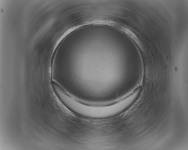 X0000087631428200705181449