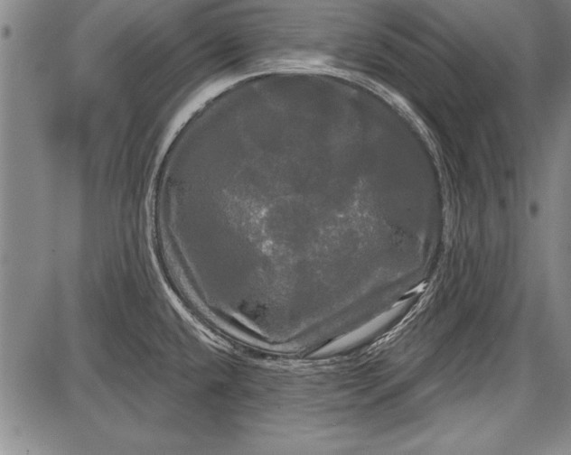 X0000087631432200705181449