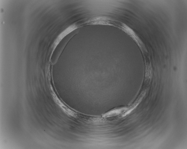 X0000087631434200705181449