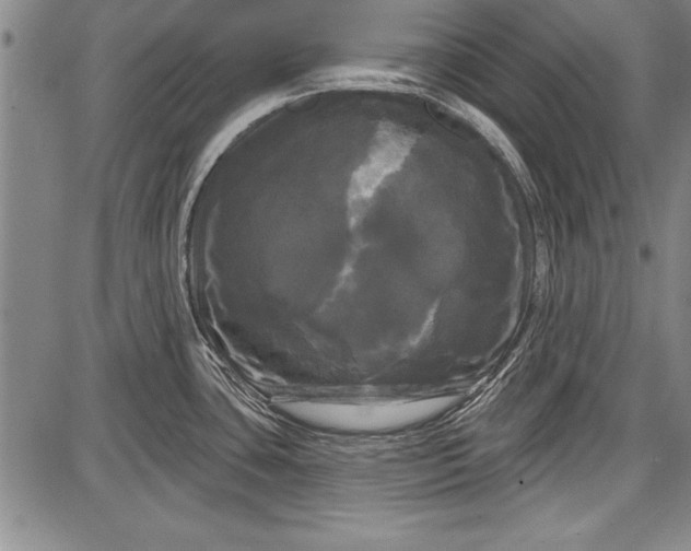 X0000087631435200705181449