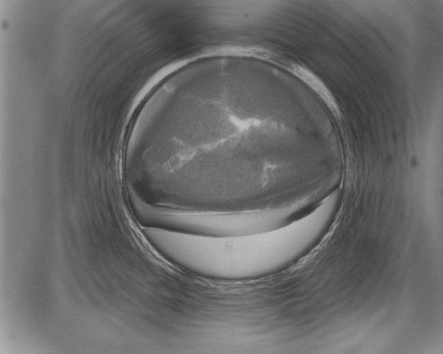 X0000087631436200705181449