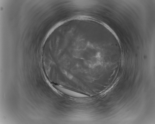 X0000087631437200705181449