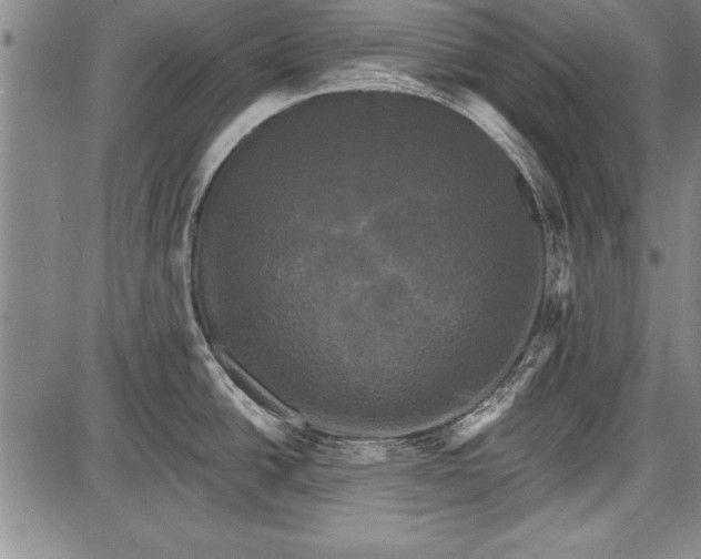 X0000087631438200705181449