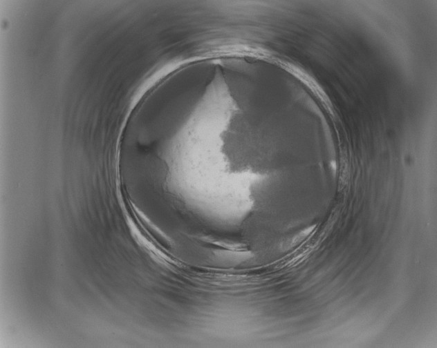 X0000087631439200705181449