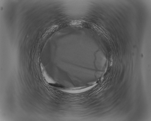 X0000087631441200705181448