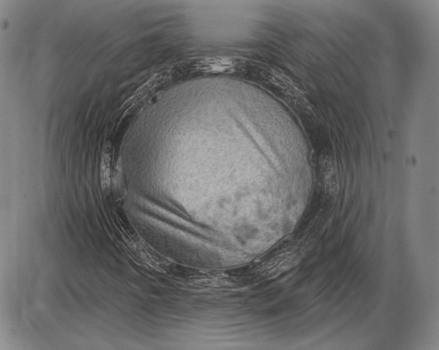 X0000087631442200705181448