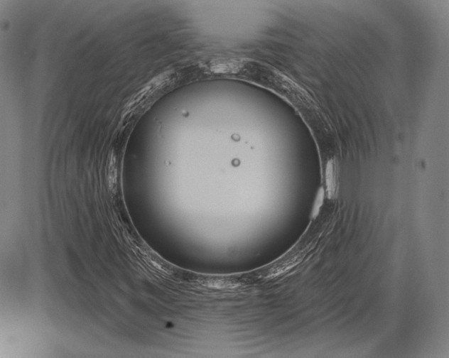 X0000087631443200705181448