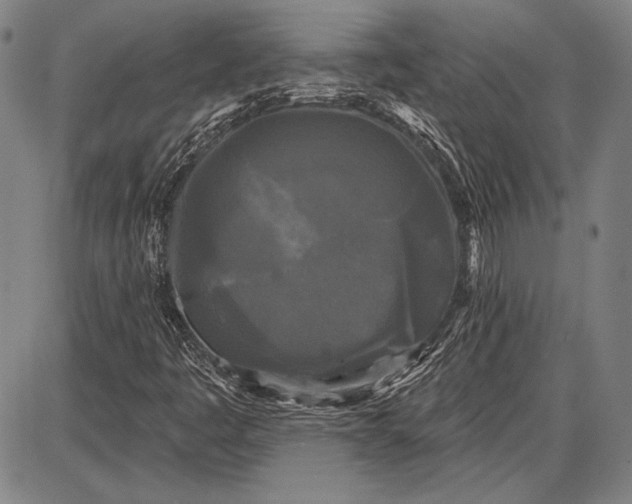 X0000087631445200705181448