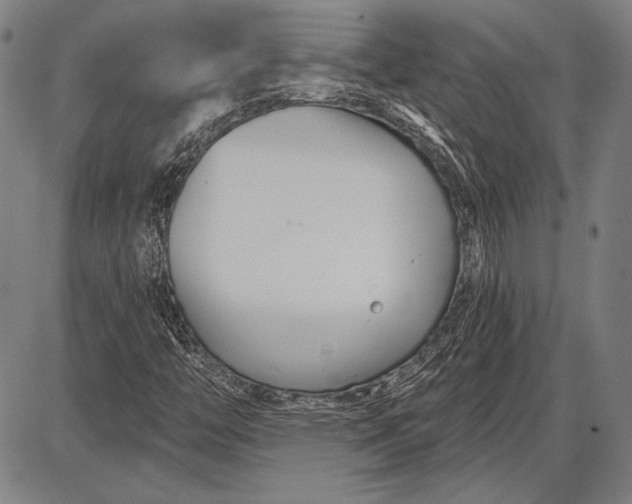 X0000087631446200705181448