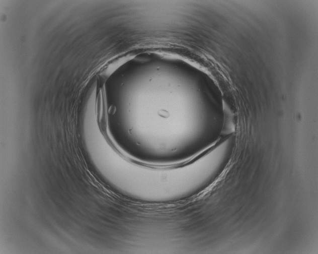 X0000087631449200705181448