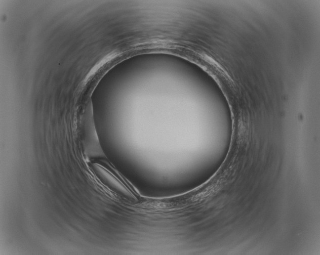 X0000087631450200705181448