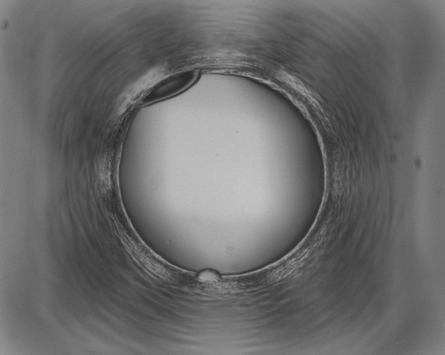 X0000087631451200705181448