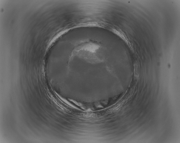 X0000087631452200705181448