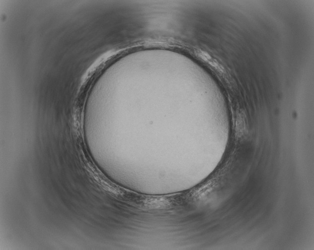 X0000087631454200705181448