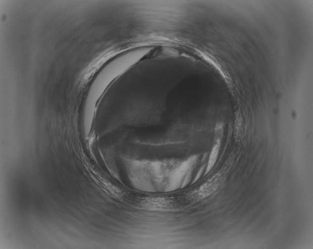 X0000087631455200705181448