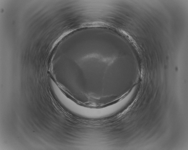 X0000087631457200705181448