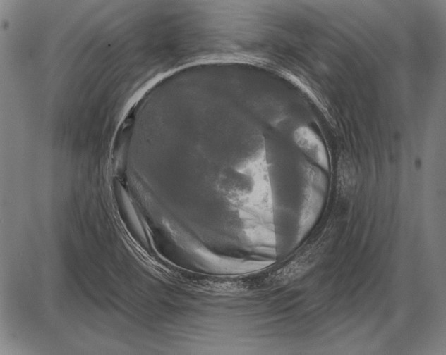 X0000087631460200705181448