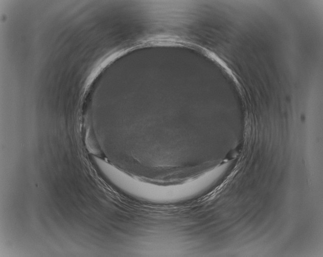 X0000087631461200705181448