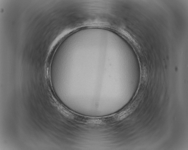 X0000087631462200705181448