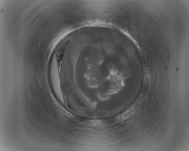 X0000087631463200705181448