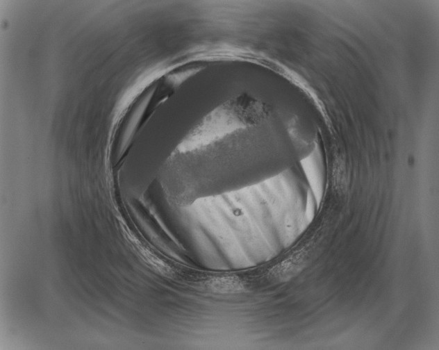 X0000087631464200705181448