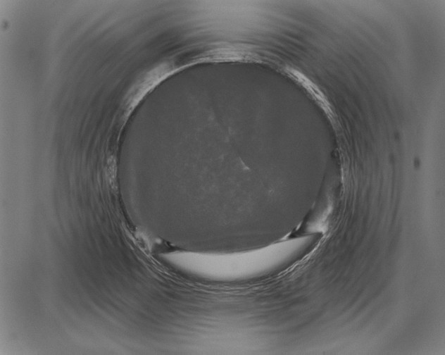 X0000087631465200705181448