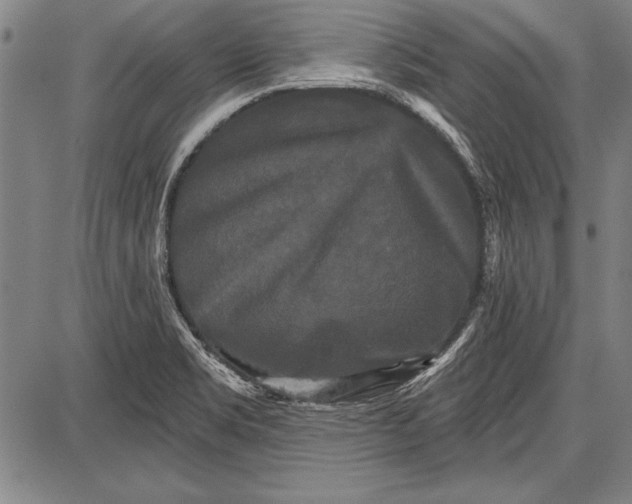 X0000087631469200705181448