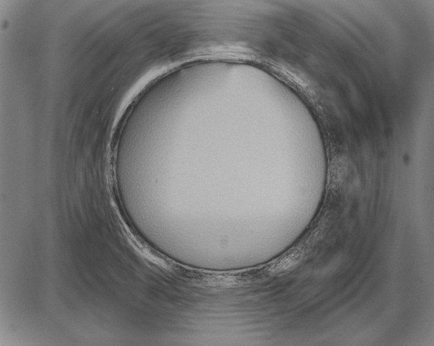 X0000087631470200705181448